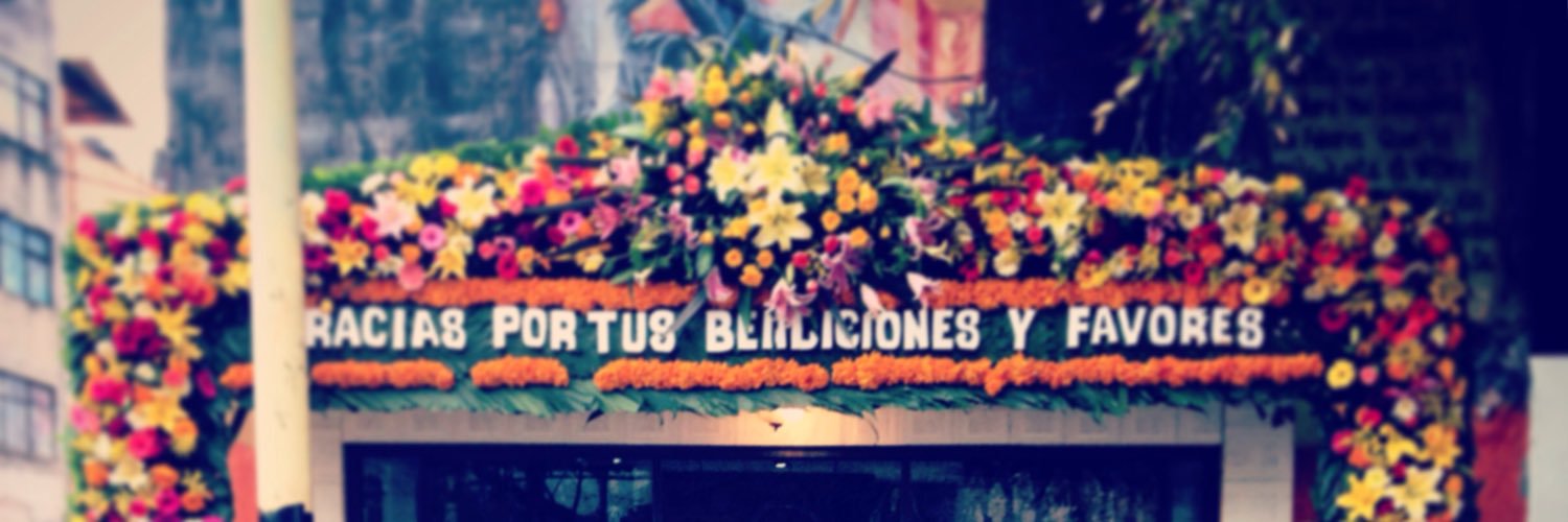 marevaliente's profile banner image