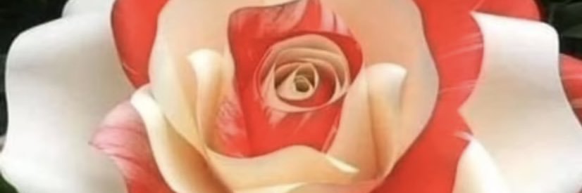 6alal70's profile banner image