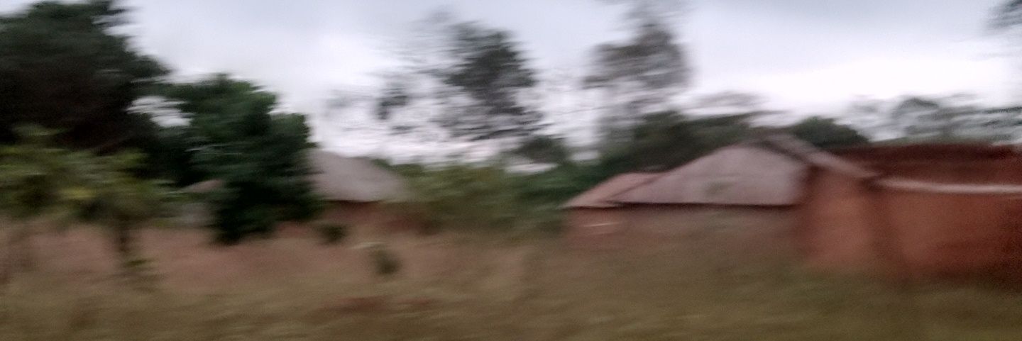 peterrazaq's profile banner image