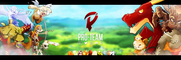 ProTeamOpti Profile Banner