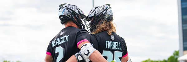 PLLChrome Profile Banner