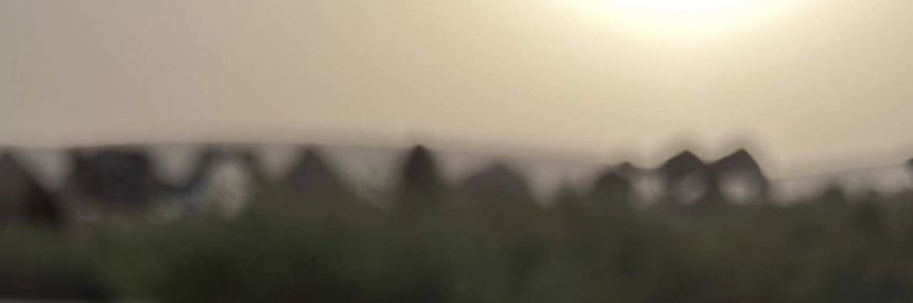 القرناس 💛. banner