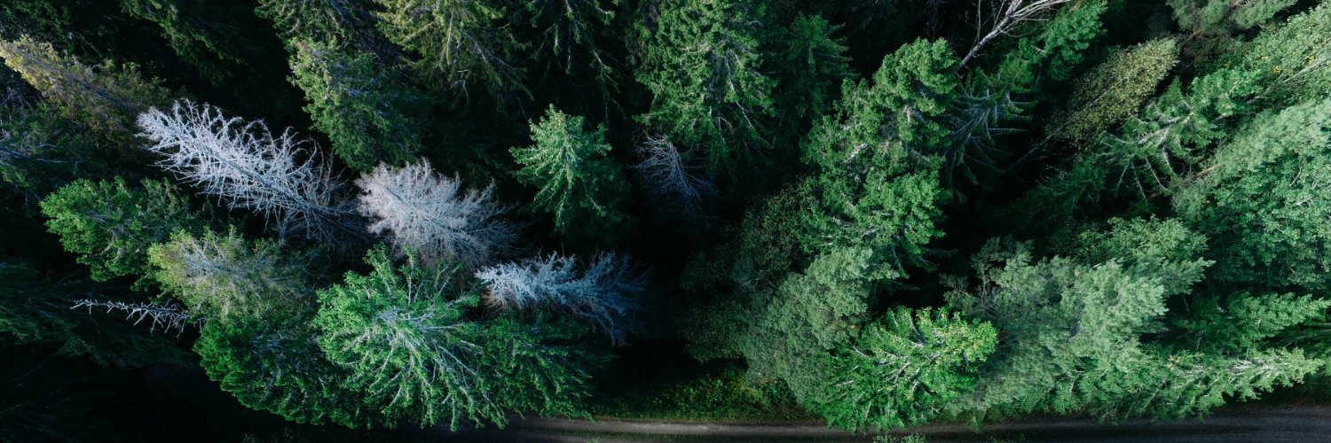 International Tree Mortality Network banner