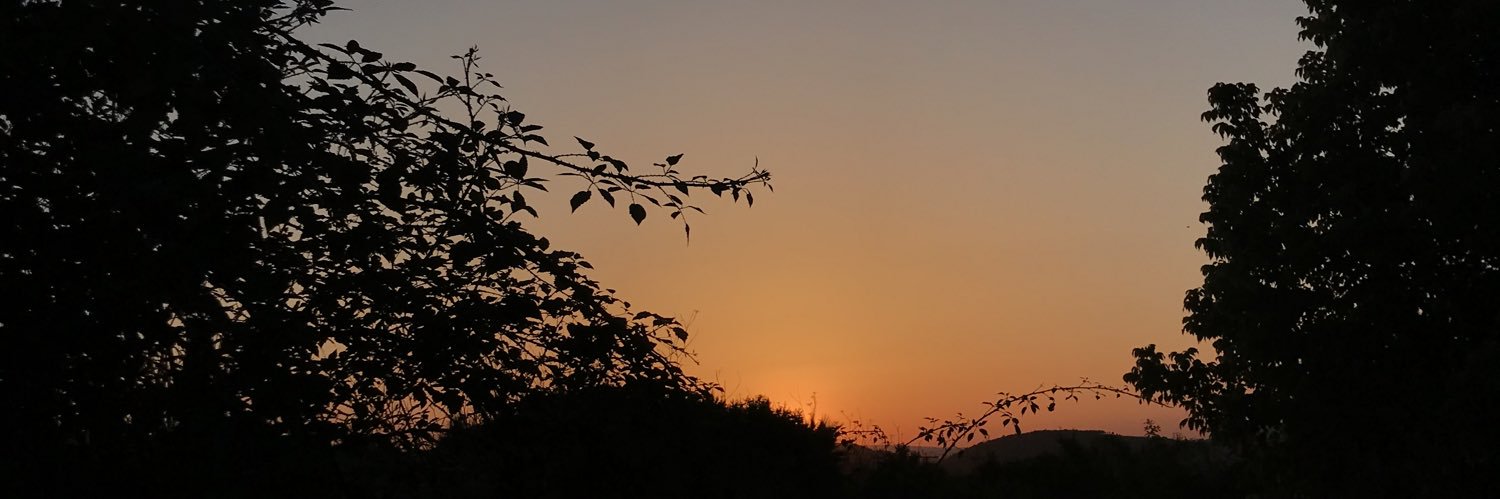 maartaprats's profile banner image