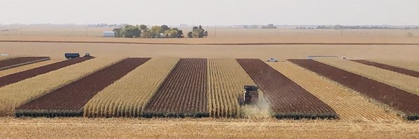 aghammer Profile Banner