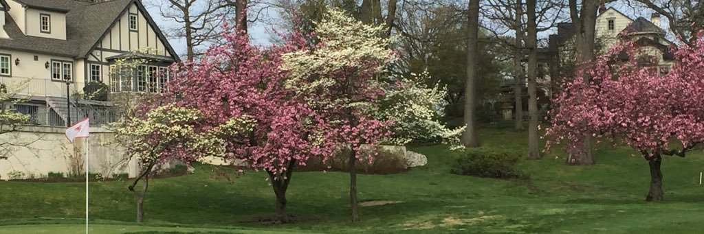 Haddonfield Golf banner