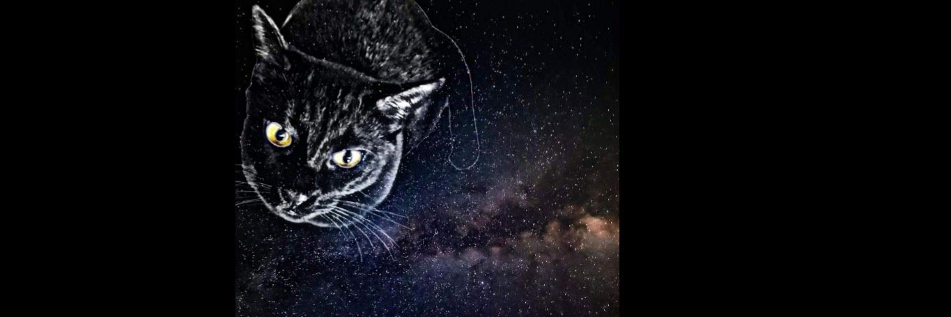 ninezeroes's profile banner image