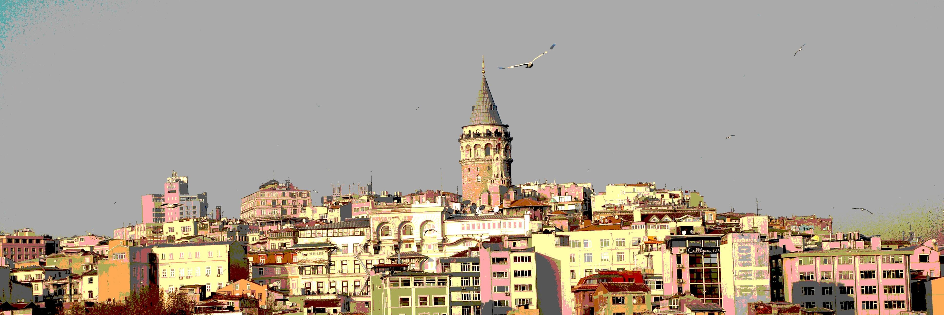metopal's profile banner image