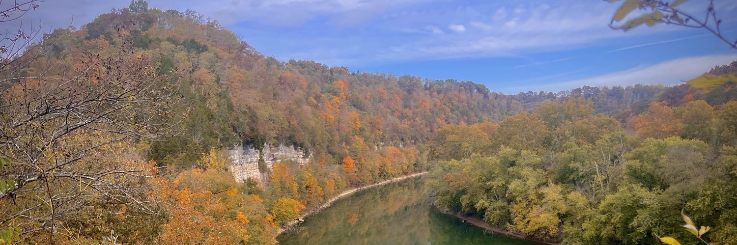 Bridget Walsh, MS, LAT, ATC banner