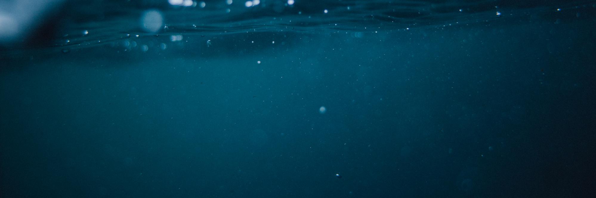 Secure ShellFish banner