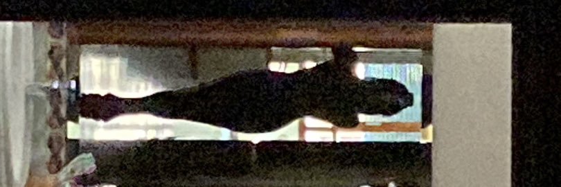 Marea Lunar 😴🍷 banner