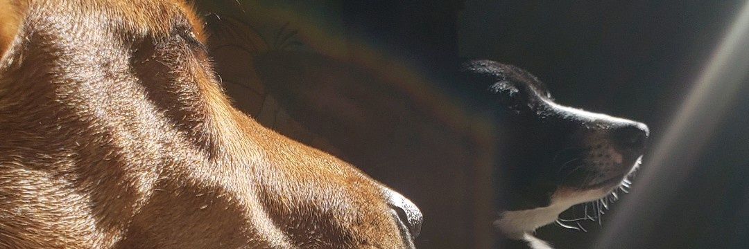 beatrizcmr's profile banner image