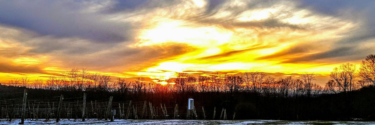 Millbrook Winery banner