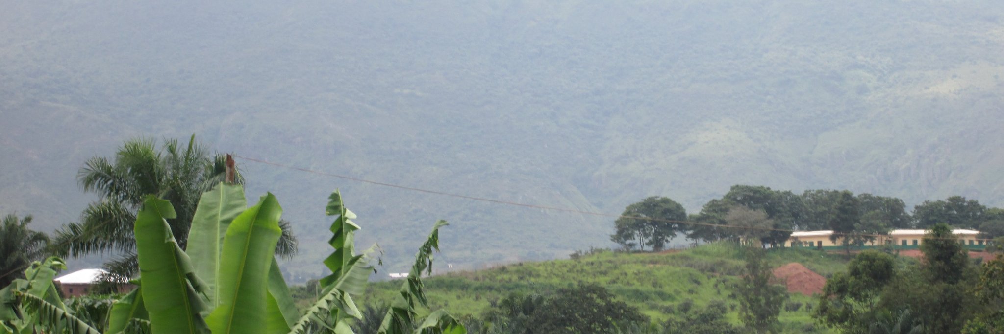 David *Objection* Ngong banner