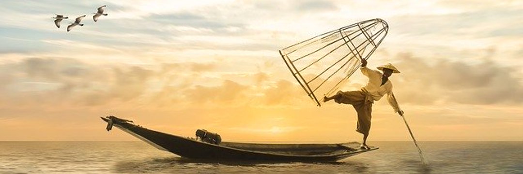 Fisher 🎣's banner