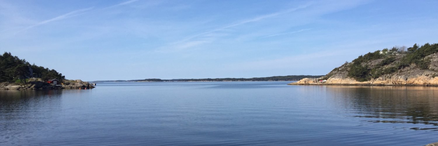 Per-Henrik Randsborg banner