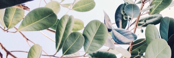 toureeuh's profile banner image
