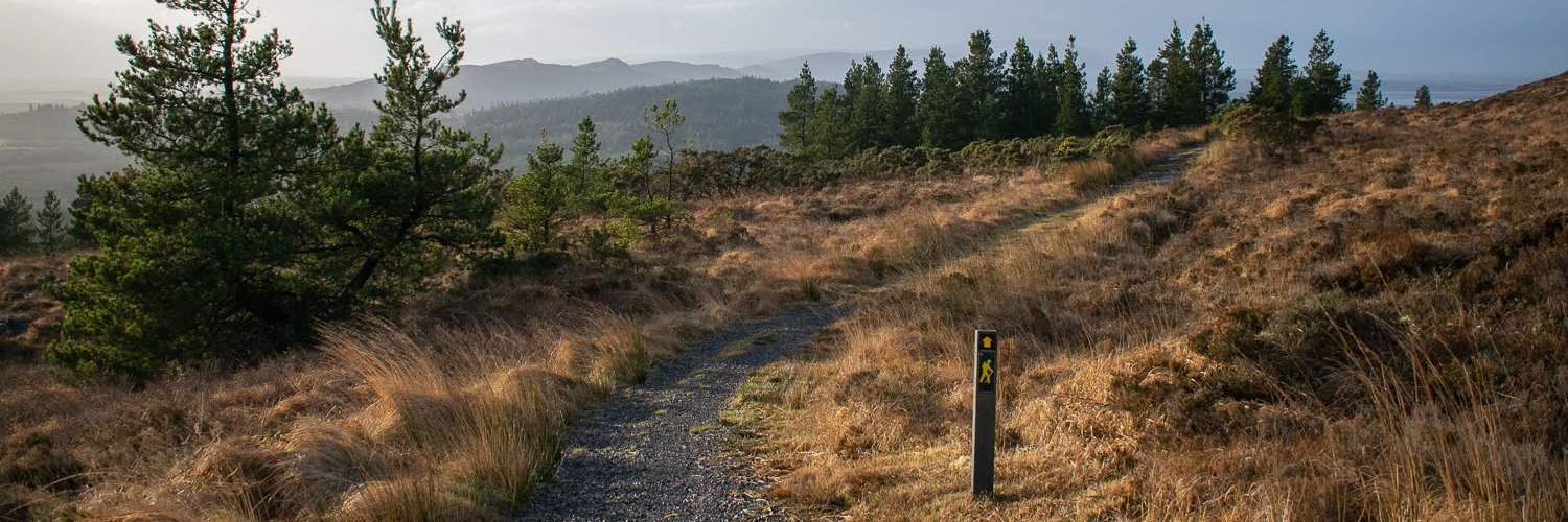 PhelanEnda's profile banner image
