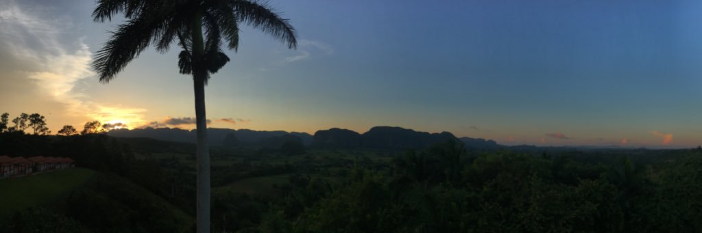 C. Almeida Da Costa banner