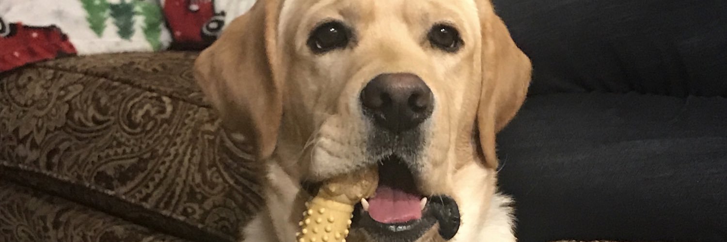 BBak05's profile banner image