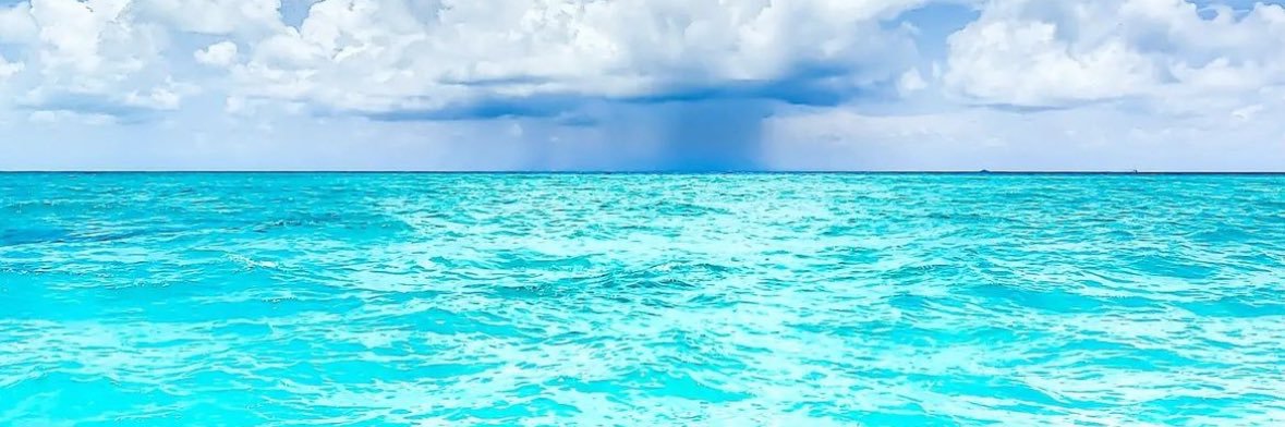 MadeeRN's profile banner image
