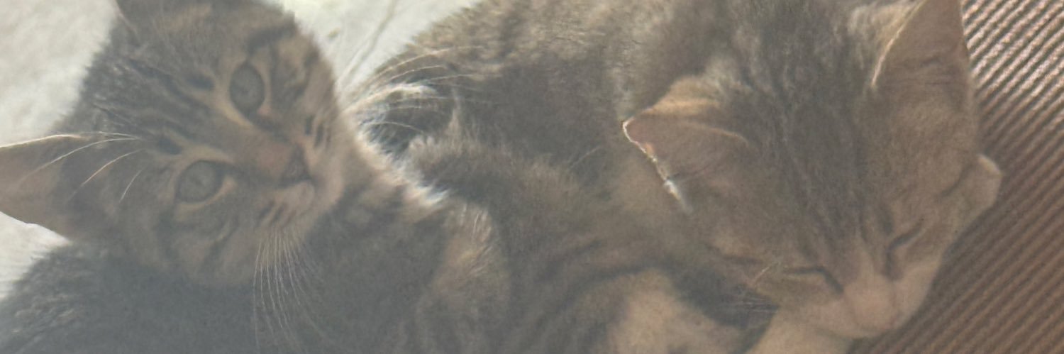 SoyGuzzi's profile banner image