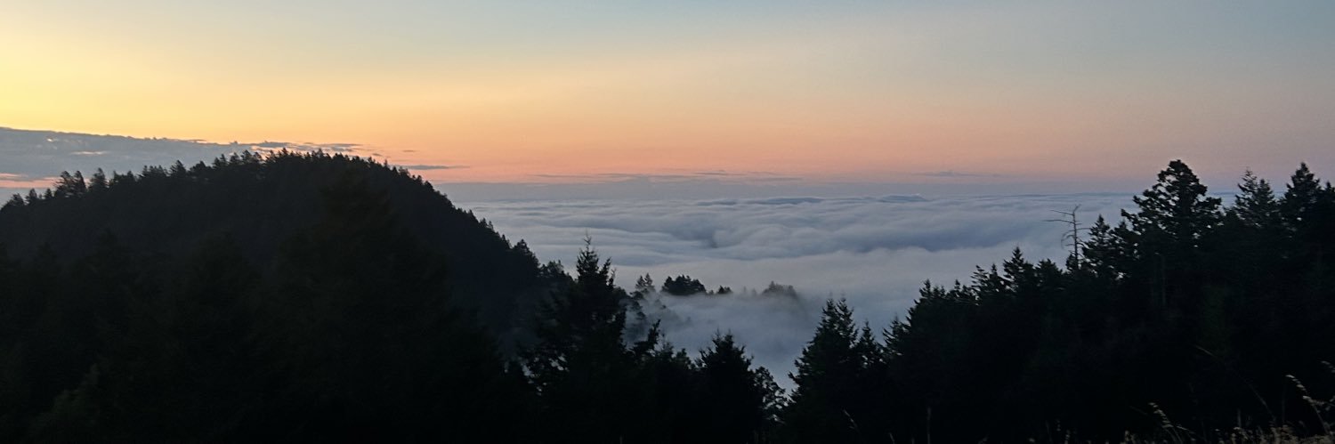 dillestdill's profile banner image