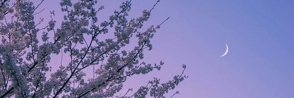 jungsoph's profile banner image