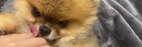 _SHIN3Y Profile Banner
