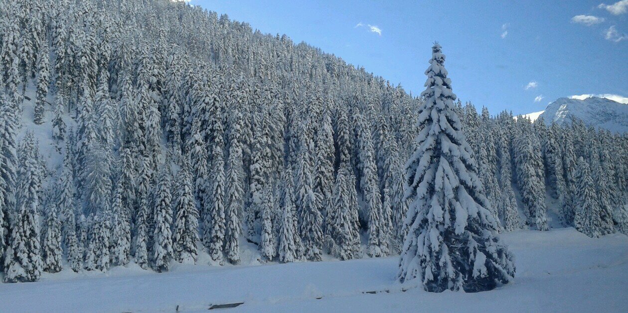 TirolWetter's profile banner image