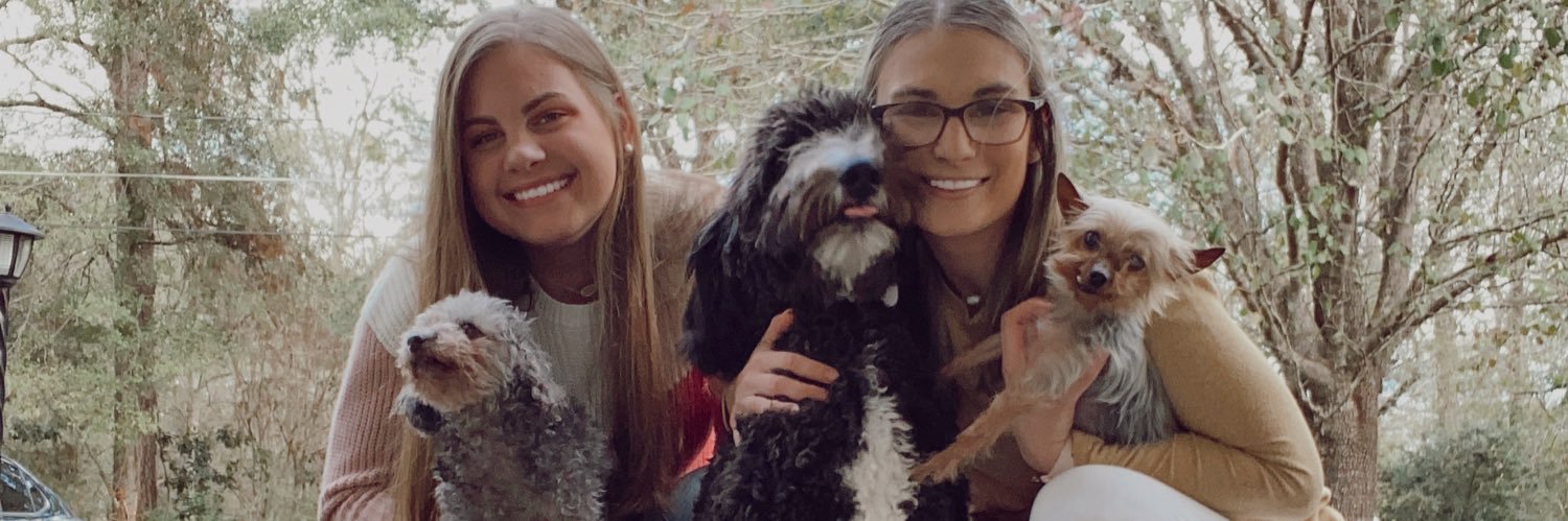 laurenlong_'s profile banner image