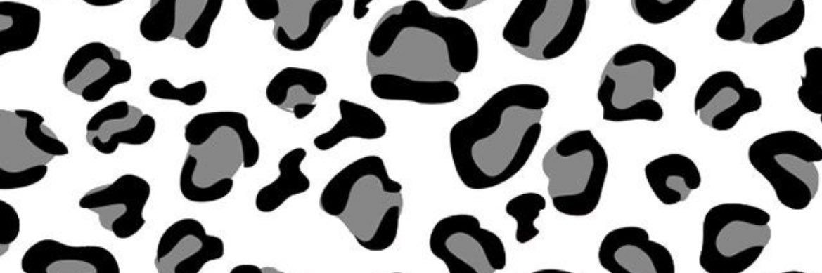 Madelyn fellows banner