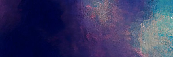 CallMiiBishop Profile Banner