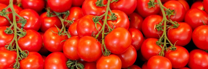 _LoveTomato's profile banner image