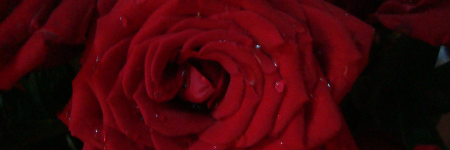 lilibet2012's profile banner image