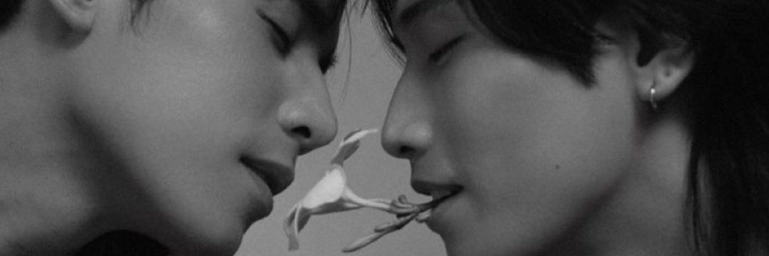 10Palomadc's profile banner image