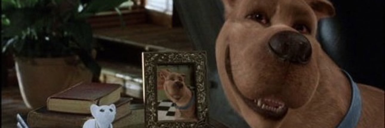 taaymorrow's profile banner image