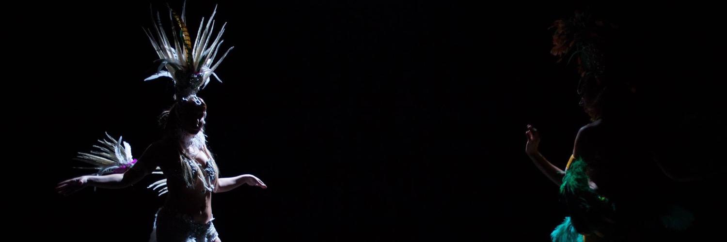 ElementDanceCo's profile banner image