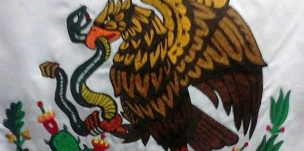 ale_go_may's profile banner image