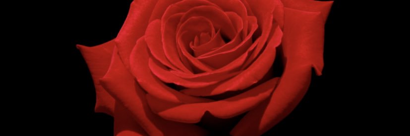 Primeminstr00's profile banner image