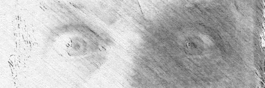 Franz_2019's profile banner image