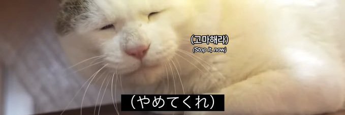 abslove4545's profile banner image