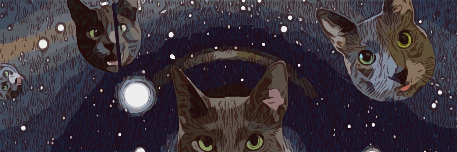 PickleytheCat's profile banner image