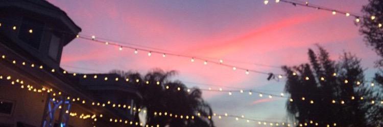 MissNic1984's profile banner image