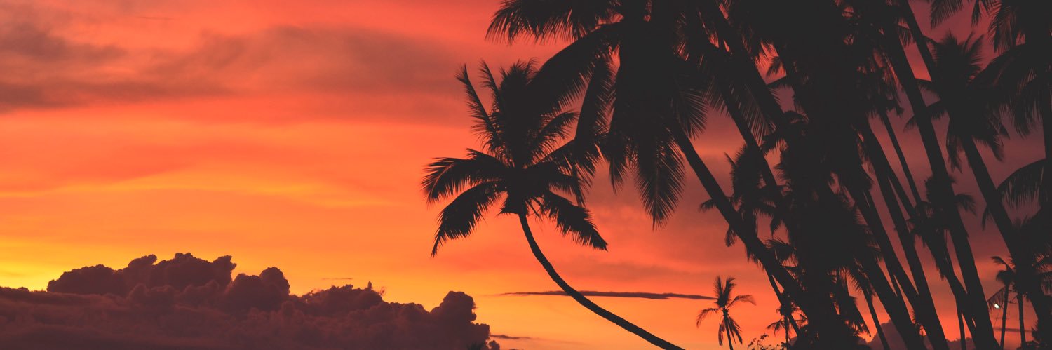 Sunsets 🌅 banner