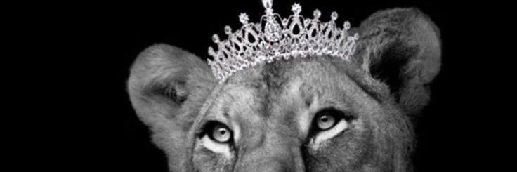 Ooxygen_89's profile banner image