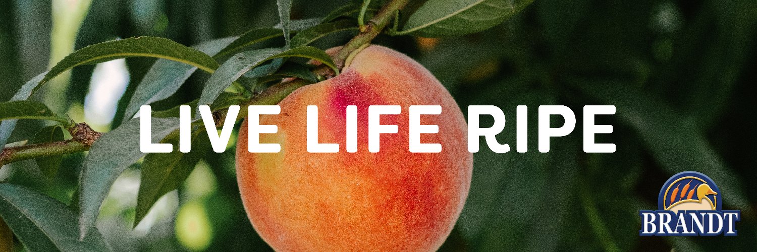 brandtfarms's profile banner image