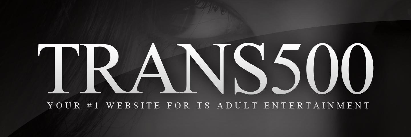 Trans500 banner