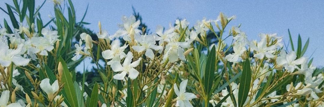 kaylinvm's profile banner image