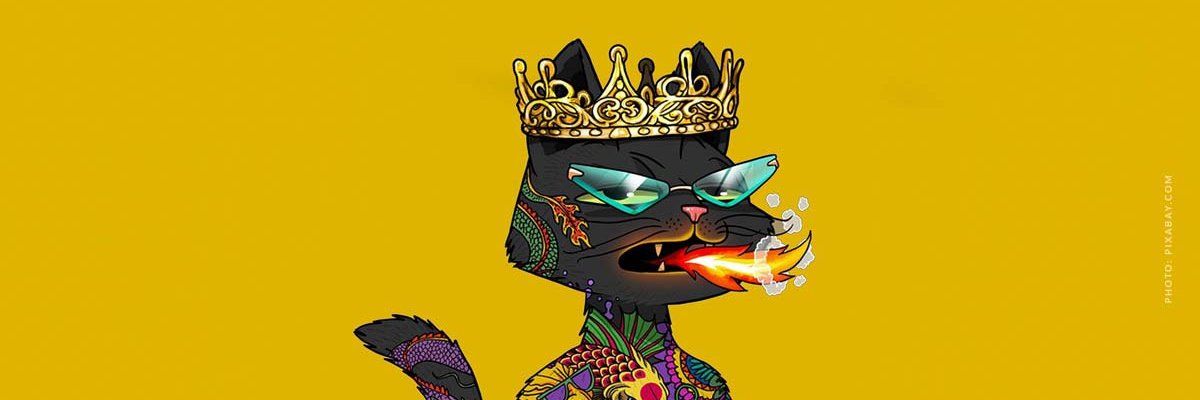 de_laize's profile banner image